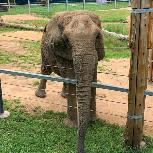 รูปภาพถ่ายที่ Maryland Zoo in Baltimore โดย LEVEL 13 เมื่อ 7/11/2021