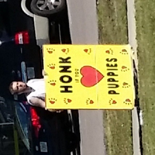 Puppy Town Pet Supplies Store in Tampa