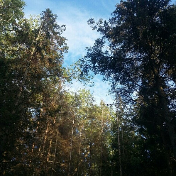 Foto di Деревня Сокольники, Озеро