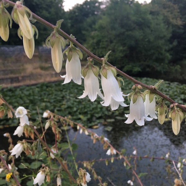 Photos At Botanischer Garten Der Heinrich Heine Universitat