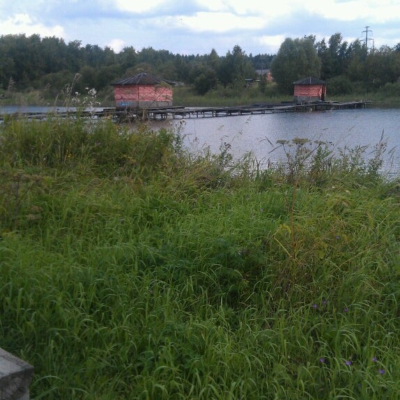Снт снегирь падиково