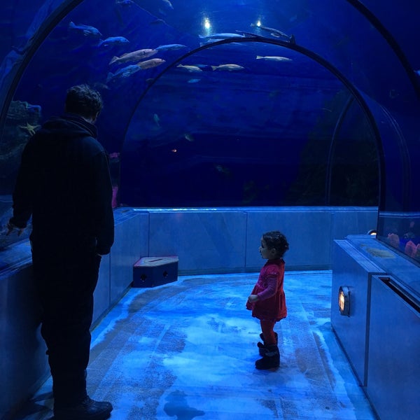 Aquarium du Québec - 57643315 FUoIrGybtft8h XWvPFjH KerVmqzaa09zim1r0vYJI