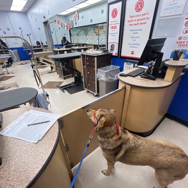 PetSmart Las Vegas, NV