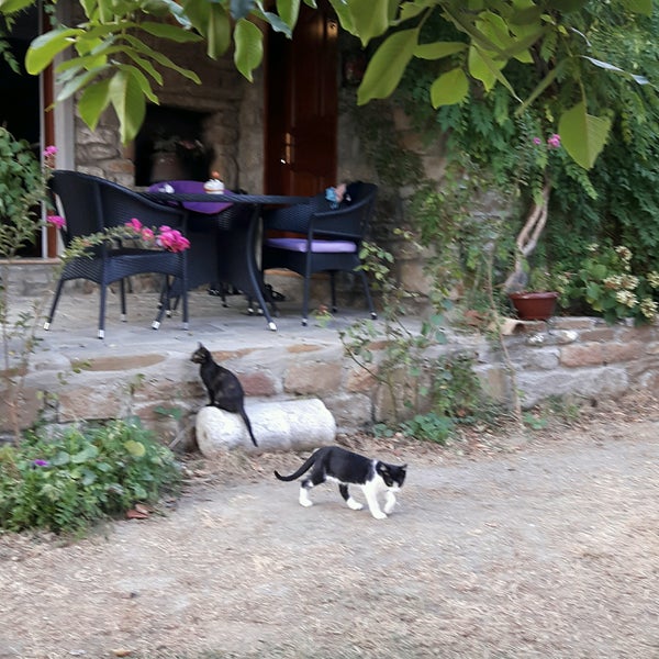 8/29/2016 tarihinde Melek E.ziyaretçi tarafından The Castle Boutique Hotel'de çekilen fotoğraf