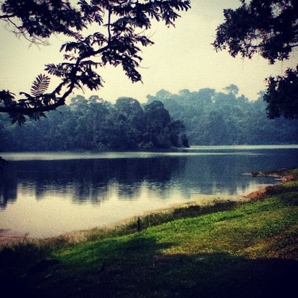 MacRitchie Reservoir Park Central Catchment Nature Reserve 62 tips