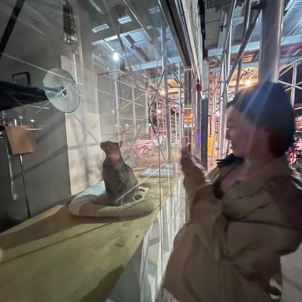 Meow Parlour Pet Service in Chinatown