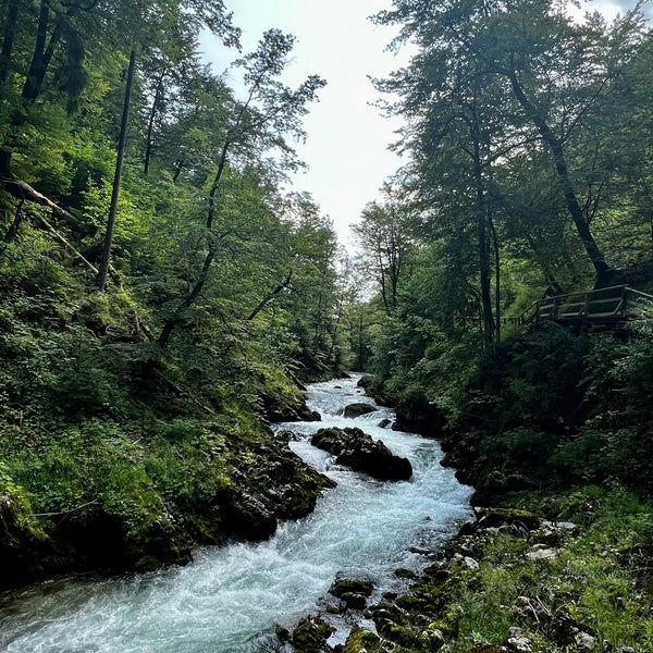 Soteska Vintgar (Gorge / Klamm / Gola) - Podhom 80