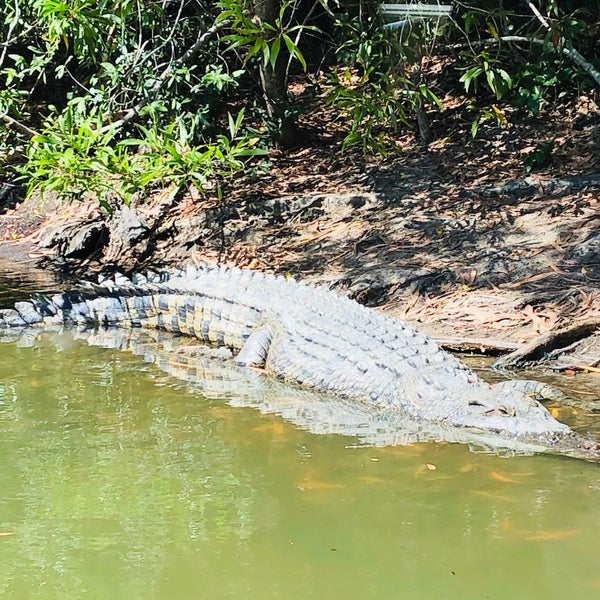Photo taken at Hartley&#39;s Crocodile Adventures by John on 8/29/2019