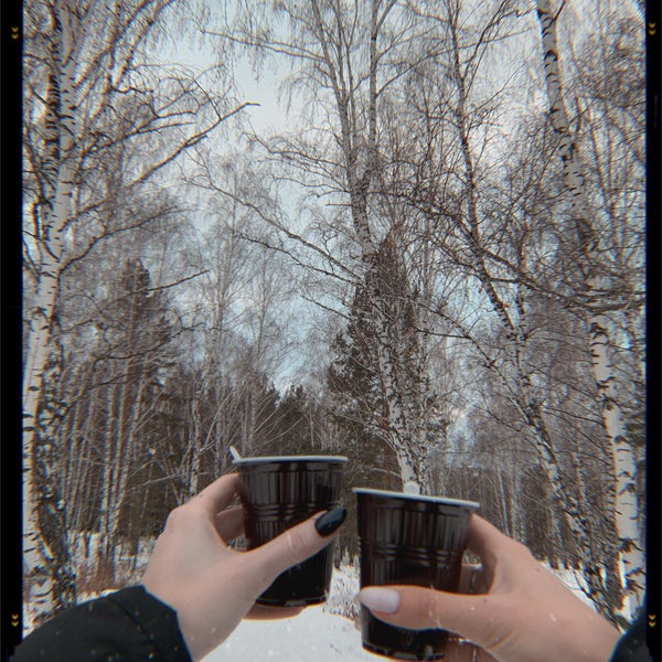 Берёзовая роща каменск-уральский трассы. Березовая роща лыжи. Лыжная база каменск-уральский березовая. Прогулка на лыжах по березовой роще. Берёзовая роща каменск-уральский тренажеры.