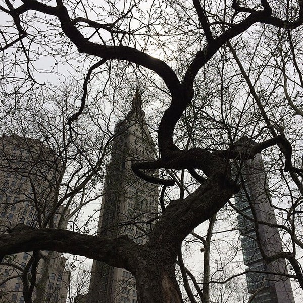 Foto tirada no(a) Madison Square Park Conservancy por Debra R. em 4/12/2014