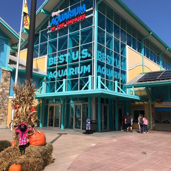 รูปภาพถ่ายที่ Ripley&#39;s Aquarium of the Smokies โดย Tina G. เมื่อ 10/1/2018