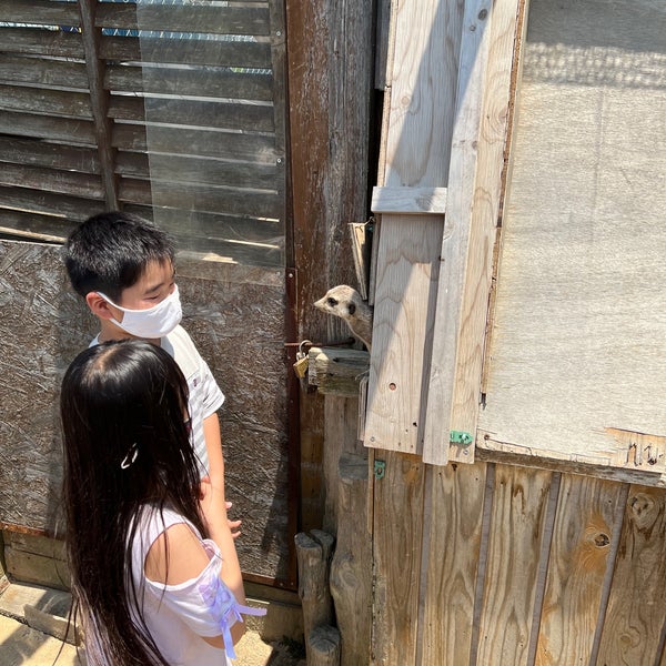 トリアスふれあい動物園 Zoo A 久山町