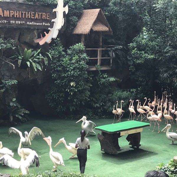 1/17/2021 tarihinde Sheep M.ziyaretçi tarafından Jurong Bird Park'de çekilen fotoğraf