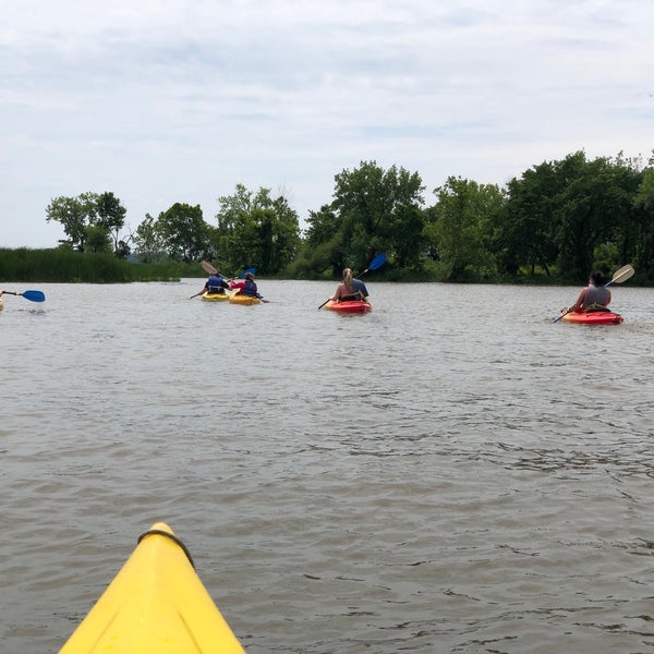 Belle Haven Marina Harbor / Marina in Alexandria