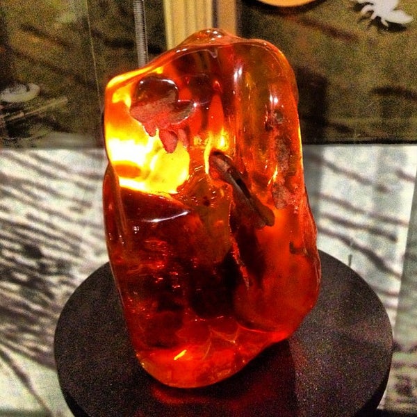 Photo taken at Amber Museum-Gallery by Yuriy L. on 10/29/2012