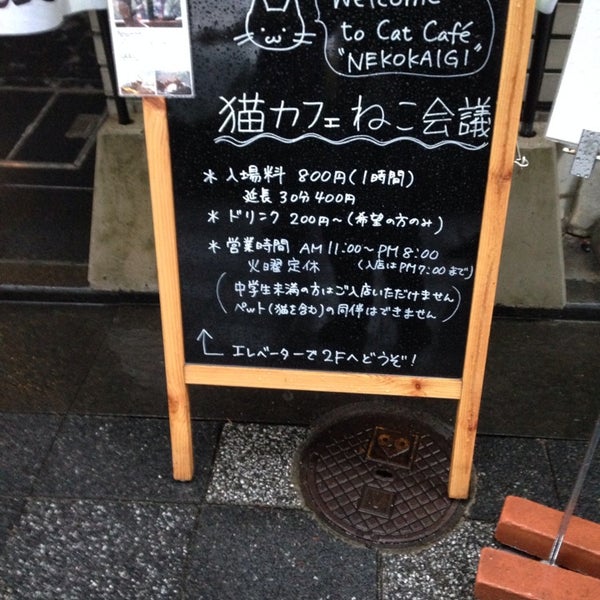 猫カフェ ねこ会議 2 Conseils De 210 Visiteurs