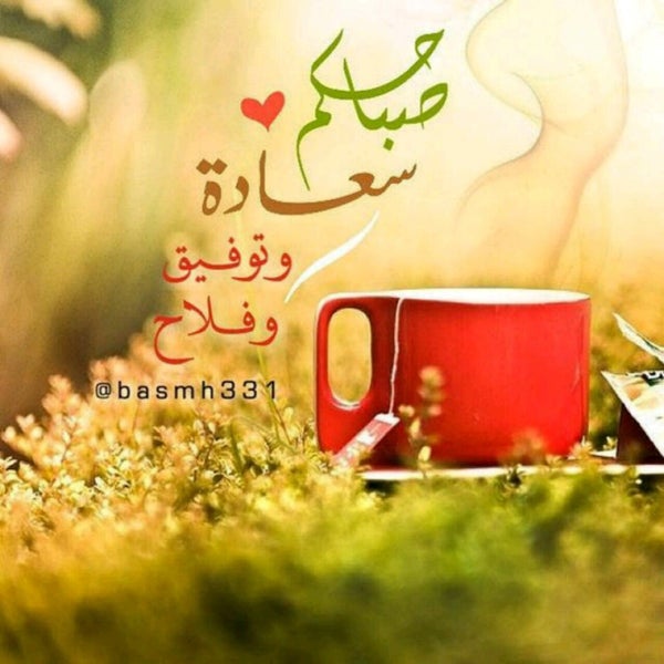 photos at فلافل الوردة الشامية