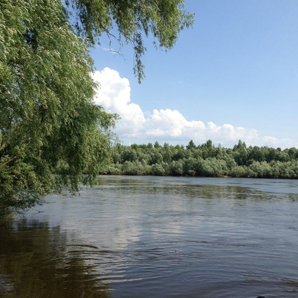 Река десна брянск. Десна (приток днепра). Озеро мастрюково. Десна 4. Десна 4.