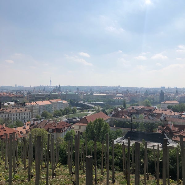 4/24/2019 tarihinde Guilherme 梅.ziyaretçi tarafından Svatováclavská vinice'de çekilen fotoğraf