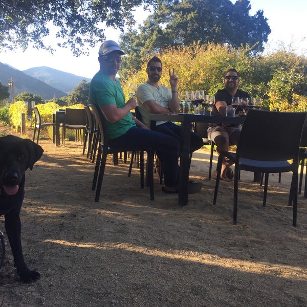 Photos At Georis Winery Tasting Room 12 Tips