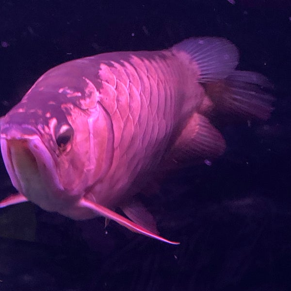 Green Apple Foot Spa Central Region 18 tips from 463 visitors