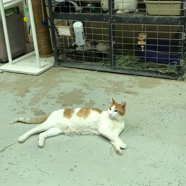 Furry Friends Refuge 1211 Grand Ave