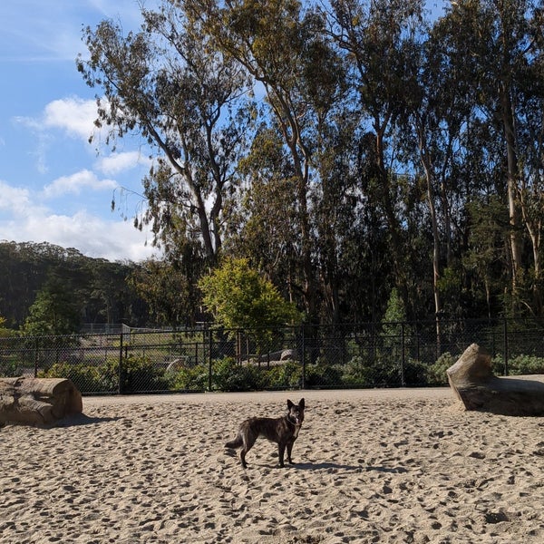 Golden Gate Park Dog Run 2 Dog Park in San Francisco