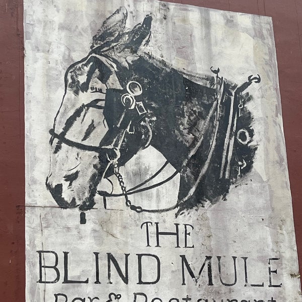 Foto tirada no(a) The Blind Mule por Trisha M. em 2/16/2024