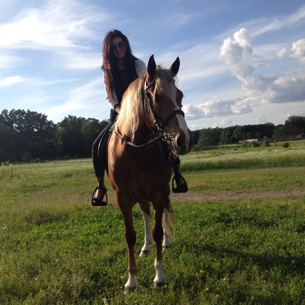 Кск golden horse, таганрог. Golden horse тенгинка отзывы. Golden horse таганрог. Конно спортивный центр таганрог. Конный клуб таганрог мариупольское шоссе.