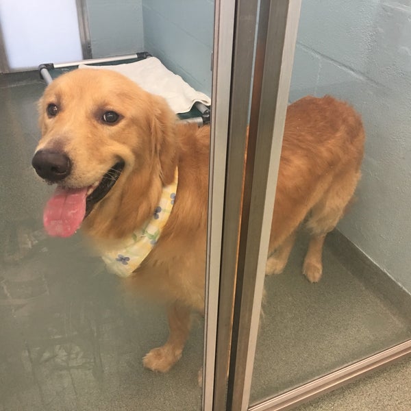 Humane Society Of Broward County Dania Beach FL