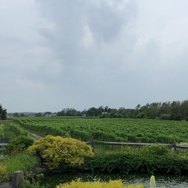 Foto tirada no(a) Duck Walk Vineyards por Lachlan M. em 8/13/2019