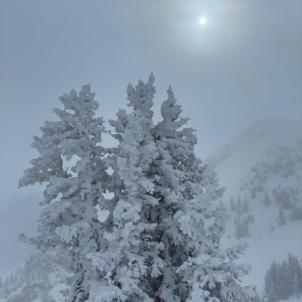Photo taken at Alta Ski Area by Misha . on 2/15/2021