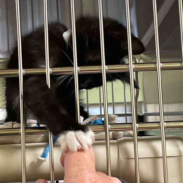 Humane Society For Southwest Washington Vancouver, WA