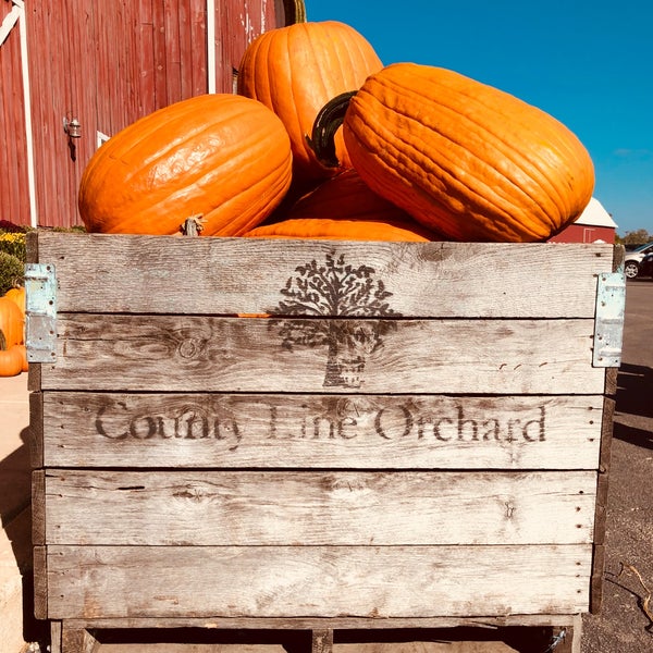 รูปภาพถ่ายที่ County Line Orchard โดย Matt D. เมื่อ 10/14/2018