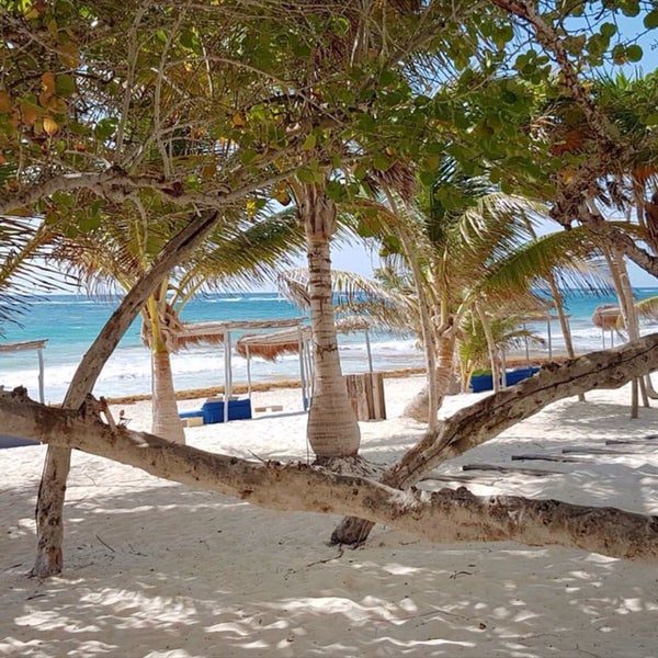 4/25/2017 tarihinde Cesar A.ziyaretçi tarafından ABR - AKUMAL BEACH RESORT'de çekilen fotoğraf