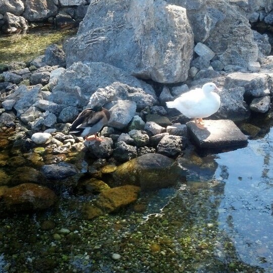 Gouvia Beach