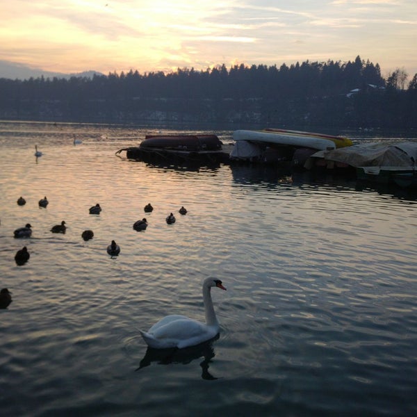 Photo taken at Zbiljsko jezero by Tobi S. on 1/8/2015