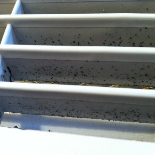 Nice remodel, BUT, nasty mold on my room's ac unit! My last visit.