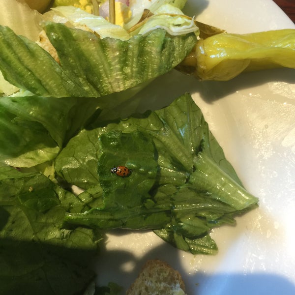 Olive Branch 1721 Reisterstown Rd 1