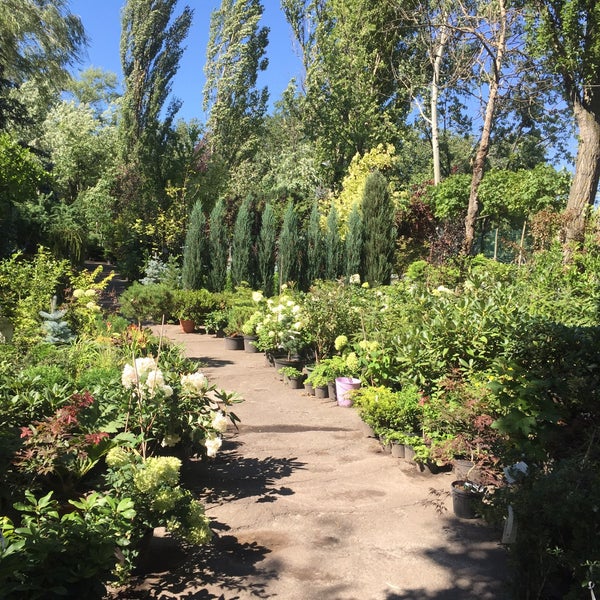 садовый центр зеленый сад клинцы. зелёный сад питомник челябинск казанцево. снт труд каблуковское сельское поселение. ст зеленый сад. ст зеленый сад.