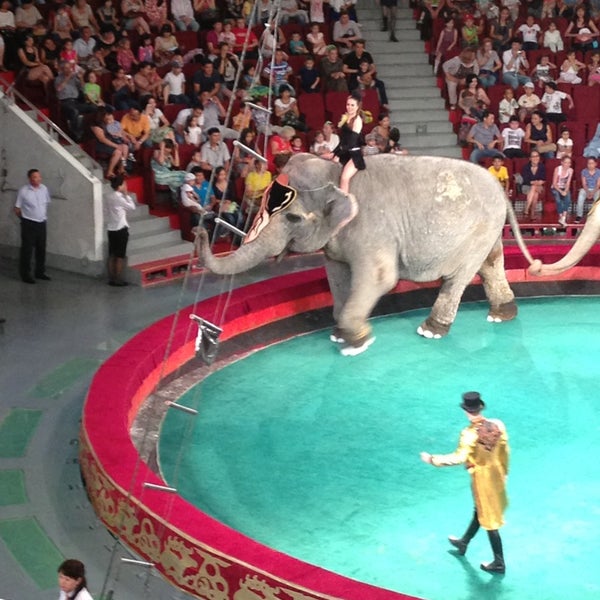 Цирк астана схема