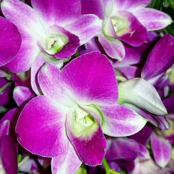 Вятские Поляны - Ciudad