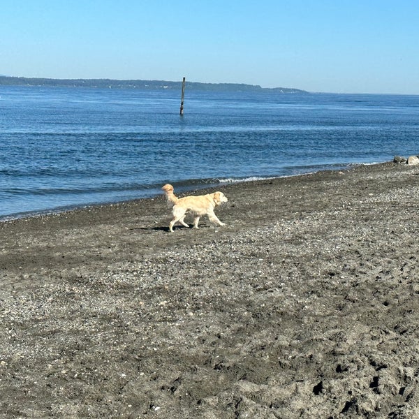 Edmonds OffLeash Dog Park Dog Park