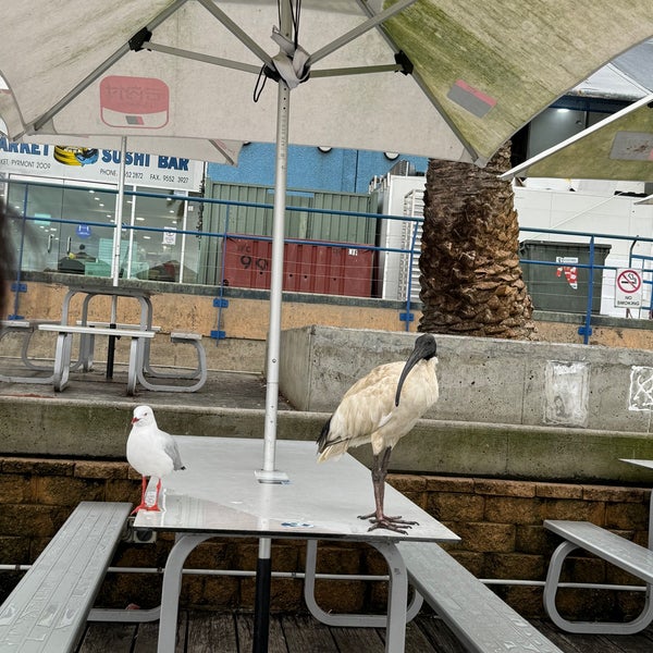 รูปภาพถ่ายที่ Peter&#39;s Fish Market โดย Daniel L. เมื่อ 2/19/2024