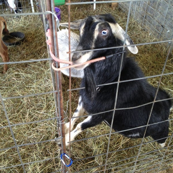 Westmoreland Fairgrounds 123 Blue Ribbon Ln