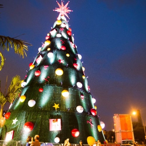 Precisa realizar algum serviço rápido em seu Apple? Enquanto você espera pode aproveitar para ver a árvore de Natal no Parque do Ibirapuera! Está linda! Ela estará lá até domingo, então corre!