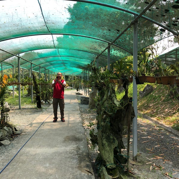 Kuching Orchid Garden Kuching, Sarawak