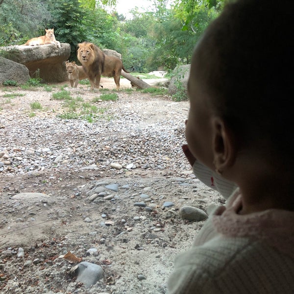 Photo taken at Zoo Basel by Michael H. on 9/6/2020