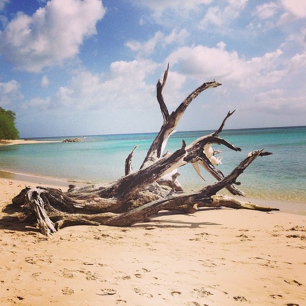 Heywoods Beach 3 tips