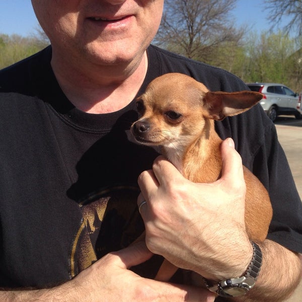 Coppell High School - High School in Southwest Dallas